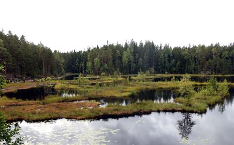 NP Nuuksio je nedaleko od Helsinek